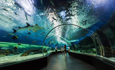 Dubai Aquarium and Underwater Zoo