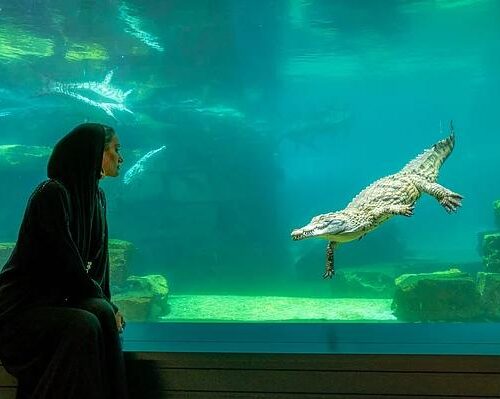 Dubai Crocodile Park